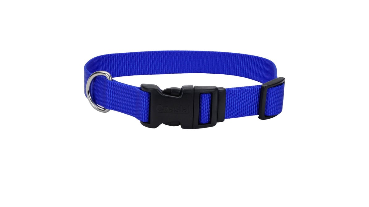 Coastal 5/8" x 10"-14" Blue Adjustable Dog Collar with Plastic Buckle