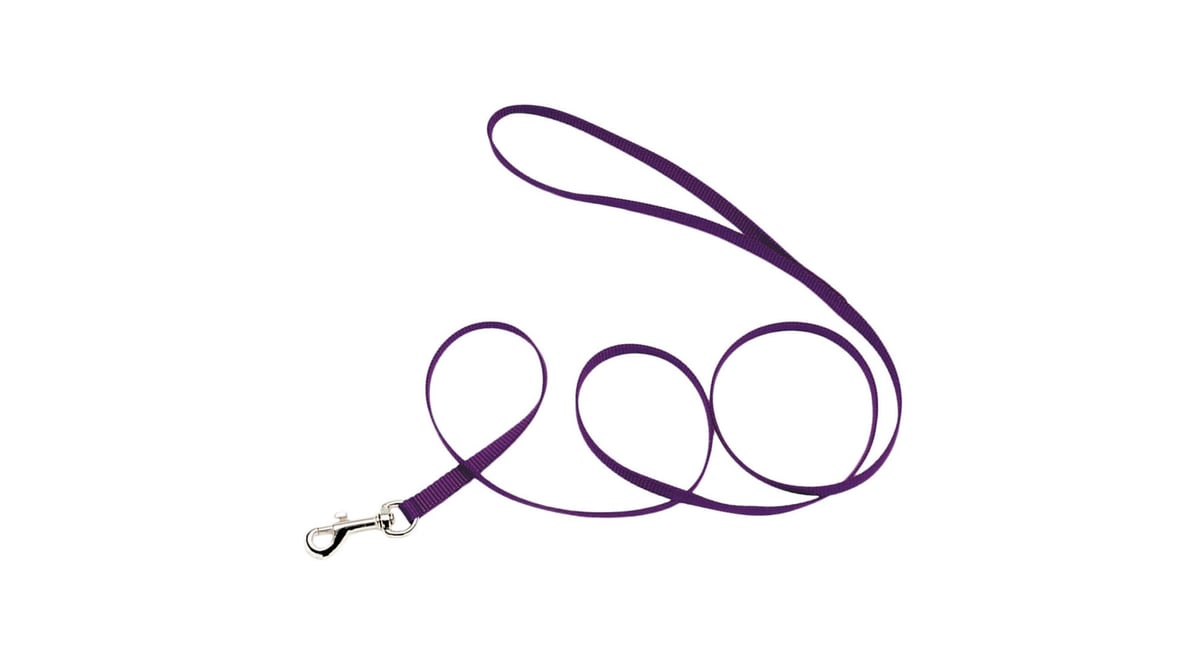 Coastal Pet Single Ply Dog Leash 0.37 x 4' Purple
