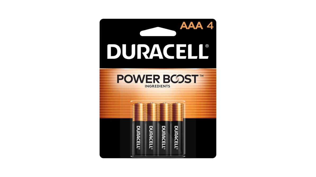 Duracell 1.5V Alkaline AAA Batteries (4 ct)
