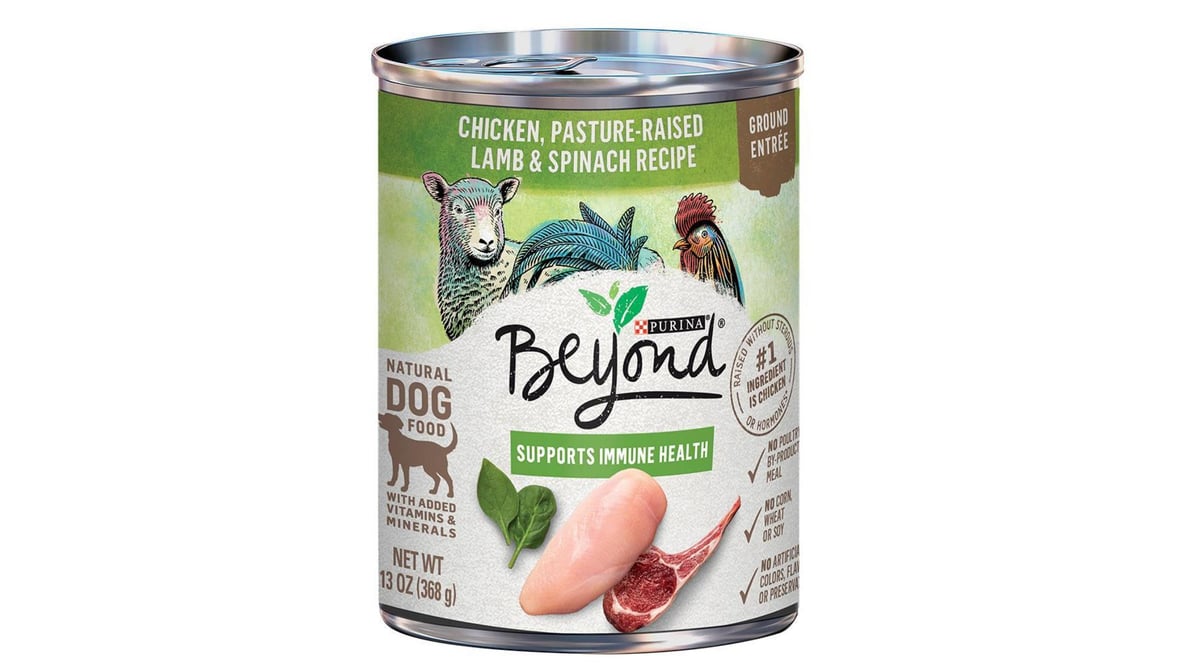 Purina Beyond Chicken, Lamb & Spinach Wet Dog Food (13 oz)