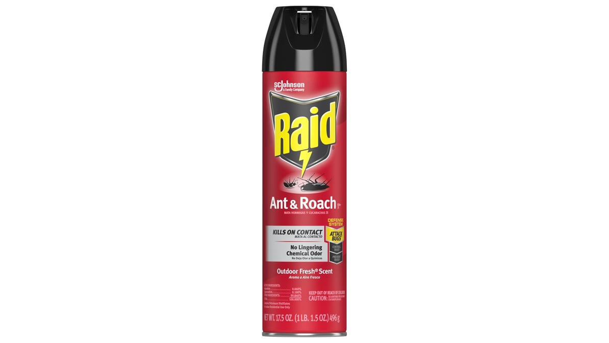 Raid Outdoor Fresh Ant & Roach Spray (17.5 oz)