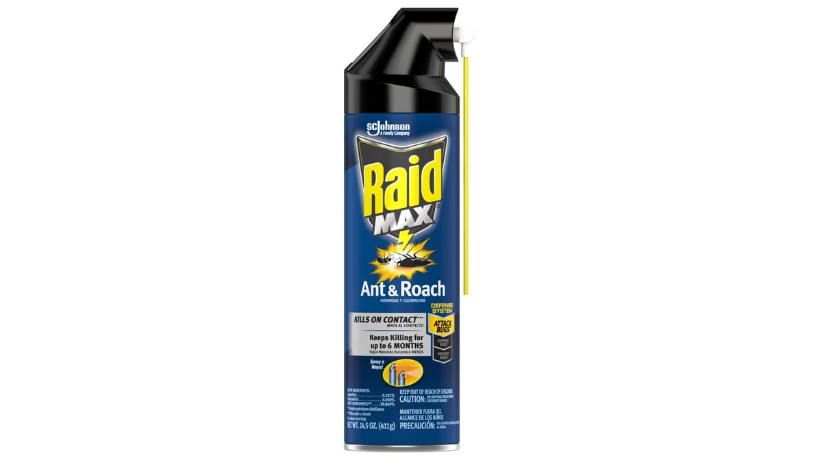 Raid Max Ant & Roach Killer Spray (14.5 oz)