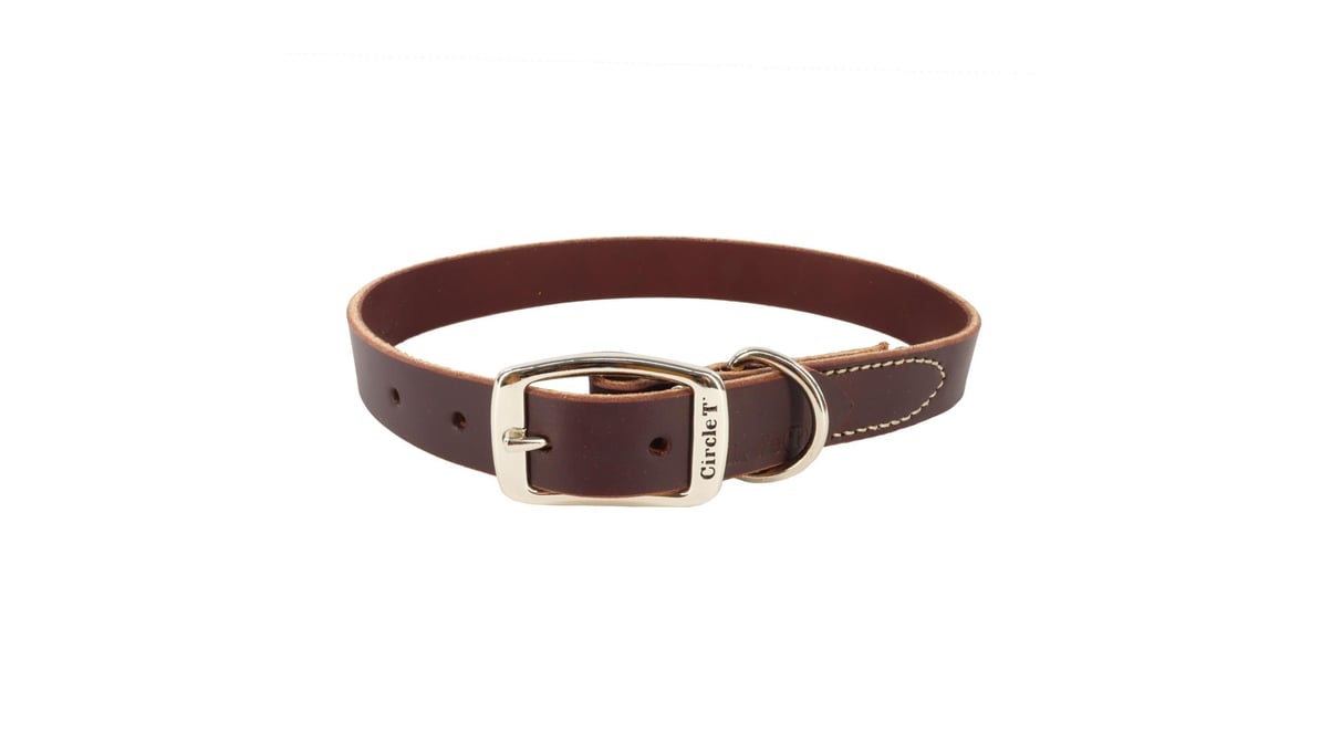 Circle T 0.38" x 12" Latigo Leather Town Dog Collar