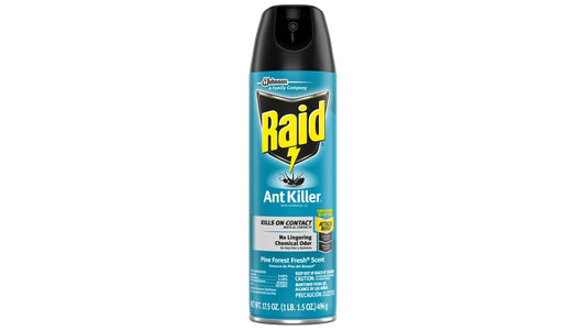 Raid Ant Killer 26 Spray Forest Fresh Scent (17.5 oz)